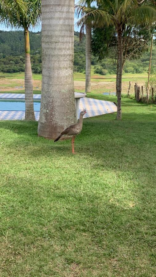 Sitio Frente A Barragem Villa Salesópolis Dış mekan fotoğraf